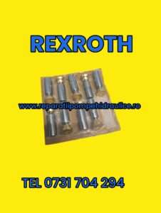 Set pistonase rexroth, Piston pompa rexroth a4vg, pistoane POMPA HIDRAULICA REXROTH