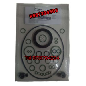 R987394503 R987394503 R987394503 R987394503